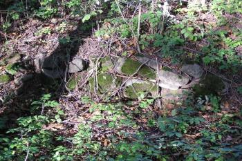 Pozůstatky zpevněných břehů bývalého hamerního náhonu nad hamrem č.I ( © Jan P. Štěpánek 09/2007)