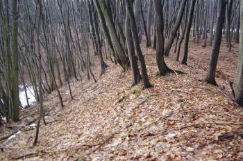 Tvrz Rychvald (© Roman Kolibač, 03/2007)