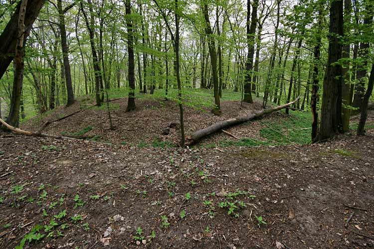 Hrušov