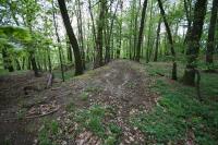 Hrušov