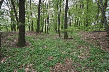 Předhradí ( © Luděk Pitter 04/2007)