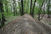 Hrušov