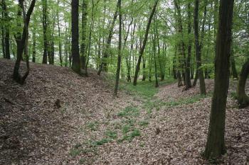 Vnější příkop ( © Luděk Pitter 04/2007)