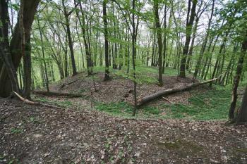 Pohled na plošinu jádra tvrziště ( © Luděk Pitter 04/2007)