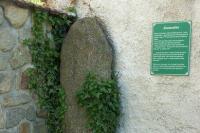 Zkamenělec
