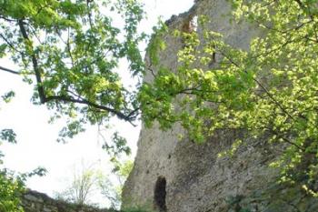 dnešní vstupní brána ( © iV 4. 5. 2007)