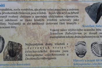  (© Ivo Rozehnal, 05/2014)