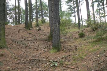 Příkop na východě předhradí, vlevo val (© Prudký Martin, 09/2009)