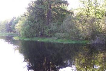 tvrziště Lhota ( © Marek Skýpala 05/2007)