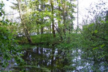 tvrziště Lhota ( © Marek Skýpala 05/2007)