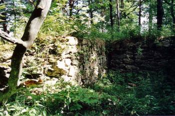 V letních měsících se pozůstatky hradu hledají těžko (© Jiří Cukr, 07/2002)