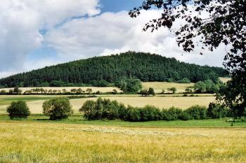 Vrch Osule ukrývající zříceniny hradu Vitějovice od jihu (© Jiří Cukr, 07/2002)