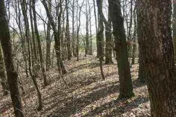 Vnitřní val (© Milan Caha, 04/2007)