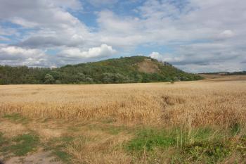 hradiště od Praskoles ( © Milan Caha 08/2008)