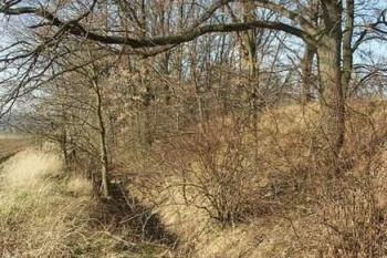 Příkop na západní straně (© Milan Caha, 06/2007)