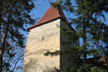 Zvíkov (© Robert Šebl, 04/2007)