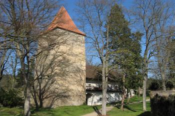 Zvíkov (© Robert Šebl, 04/2007)