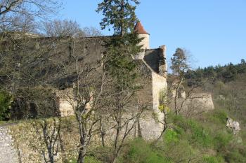 Zvíkov (© Robert Šebl, 04/2007)