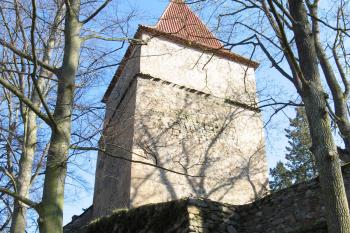 Zvíkov (© Robert Šebl, 04/2007)
