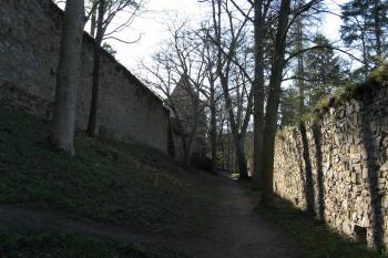 Zvíkov (© Robert Šebl, 04/2007)