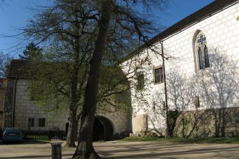 Zvíkov (© Robert Šebl, 04/2007)