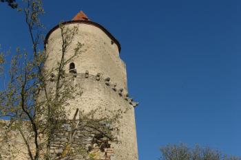 Zvíkov - bergfrit (© Robert Šebl, 04/2007)