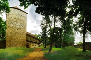 Zvíkov 22.6. 2014 (© Emanuel Toman, 03/2015)