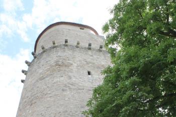 hrad Zvíkov (© Vlastislav Mareček, 07/2016)