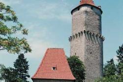 Zvíkov