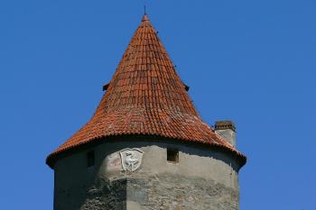 Ukončení břitu hlásky... ( © Petr Turyna 06/2006)