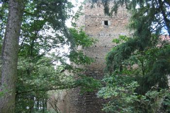 přes stromy není tvrz téměř vidět (© Anna Hladíková, 8/2008)
