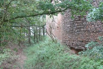 zbytek příkopu před tvrzí (© Anna Hladíková, 8/2008)