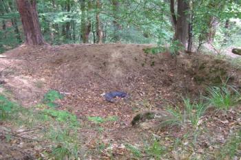 tvrziště Bilantova Lhota ( © Marek Skýpala 06/2007)