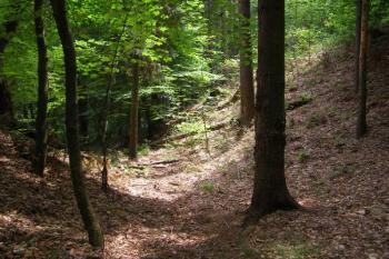 tvrziště Bilantova Lhota ( © Marek Skýpala 06/2007)