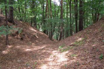 tvrziště Bilantova Lhota ( © Marek Skýpala 06/2007)