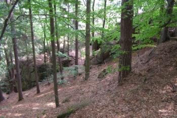 tvrziště Bilantova Lhota ( © Marek Skýpala 06/2007)