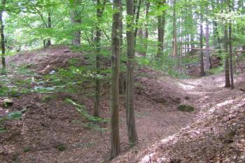 tvrziště Bilantova Lhota ( © Marek Skýpala 06/2007)