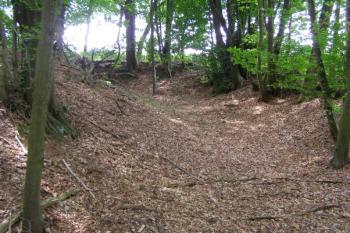 tvrziště Bilantova Lhota ( © Marek Skýpala 06/2007)