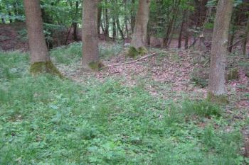 tvrziště Přemilovsko ( © Marek Skýpala 06/2007)