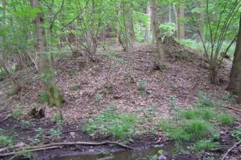 tvrziště Přemilovsko ( © Marek Skýpala 06/2007)