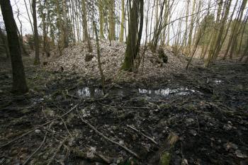 Tvrziště od jihu ( © Filip Matoušek 03/2009)