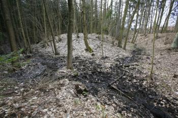 Tvrziště od východu ( © Filip Matoušek 03/2009)