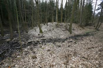 Tvrziště se soutokem dvou vodotečí  ( © Filip Matoušek 03/2009)