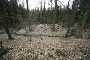 Tvrziště přes příkop z hrany plošiny (od severu) ( © Filip Matoušek 03/2009)