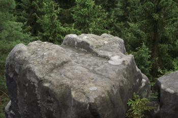  (© Michal Brůža, 07/2011)