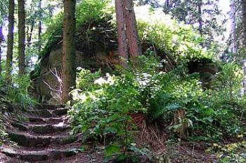 Schůdky z dolního (hlavního) nádvoří na horní dvůr ( © Petr Turyna 08/2005)