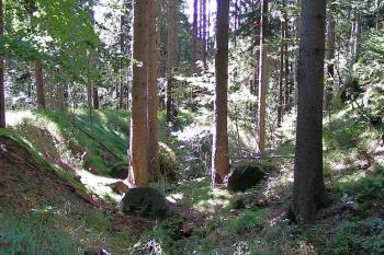 Vnitřní příkop ( © Petr Turyna 08/2005)