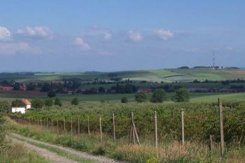 Kaplička Pod Plánivou - Pohled z Plánivy. Vlevo kaplička, vpravo střed Moravy, vrchol Předina s vysílačem Dobrochov. (© Ivo Rozehnal, 06/2007)