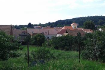 Tvrz - Dětkovice- Zahrady v katastru tvrze a dvorce. (© Ivo Rozehnal 07/2016)