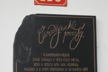  (© Zdeněk Susa, 11/2008)